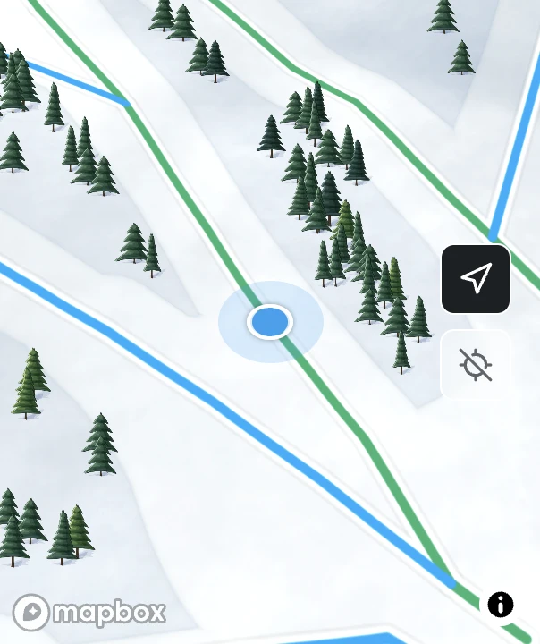 Illustrative guest location shown by the native blue map marker